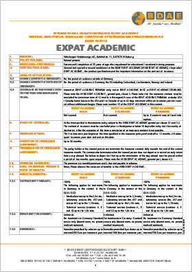 Cover Terms and Conditions Expat Academic (PDF)